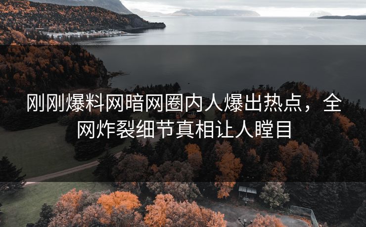 刚刚爆料网暗网圈内人爆出热点，全网炸裂细节真相让人瞠目