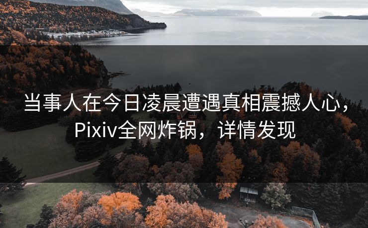 当事人在今日凌晨遭遇真相震撼人心，Pixiv全网炸锅，详情发现